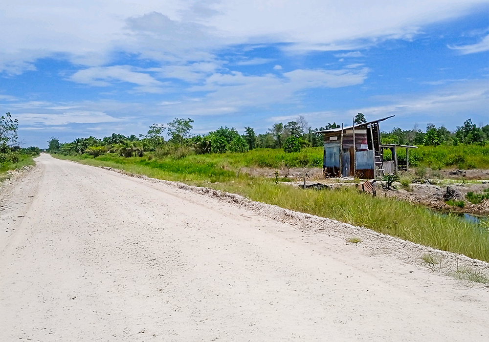TANAH DI KAB. PEKANBARU - NPL458-1 - foto 4